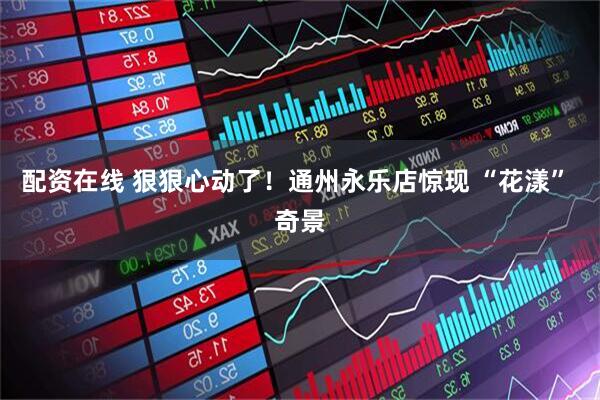 配资在线 狠狠心动了！通州永乐店惊现 “花漾” 奇景